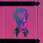 lutte contre le cancer du sein Polyhabitat Volets composite